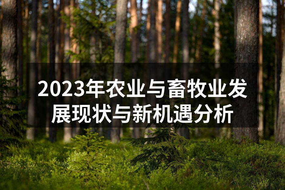 2023年农业与畜牧业发展现状与新机遇分析